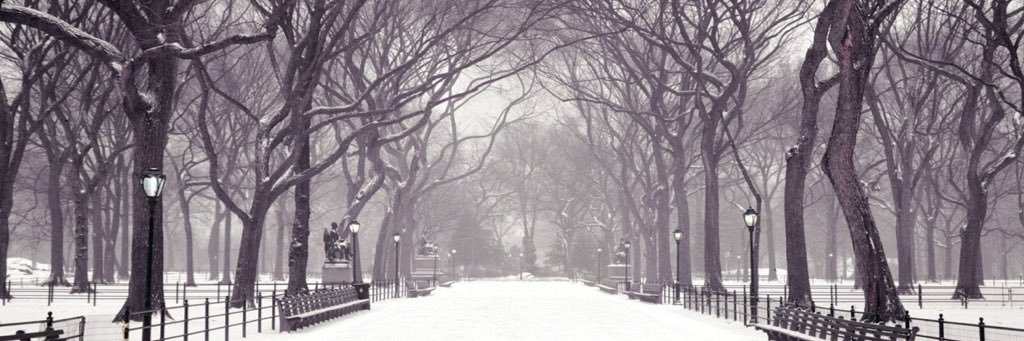 Haarolddddd's profile banner image