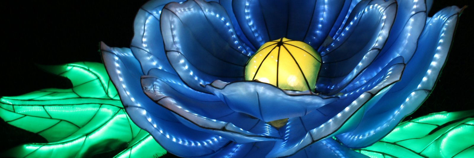 MildChutney's profile banner image