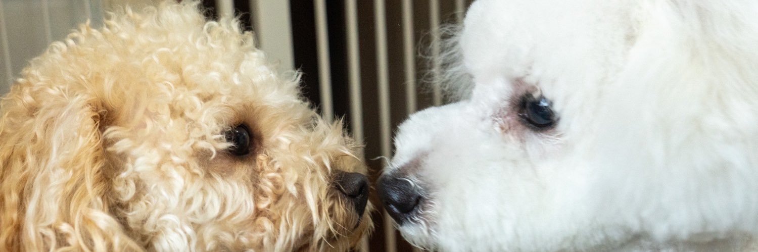 あげばたー banner