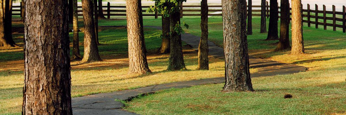 Pine Grove Treatment banner