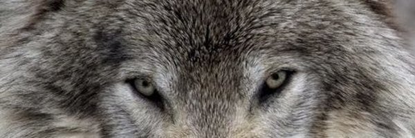 KnoxOlyn Profile Banner