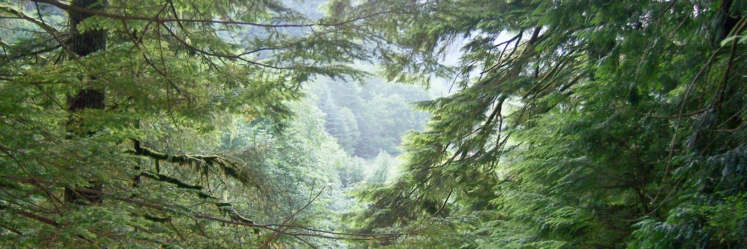 chuckwiller's profile banner image