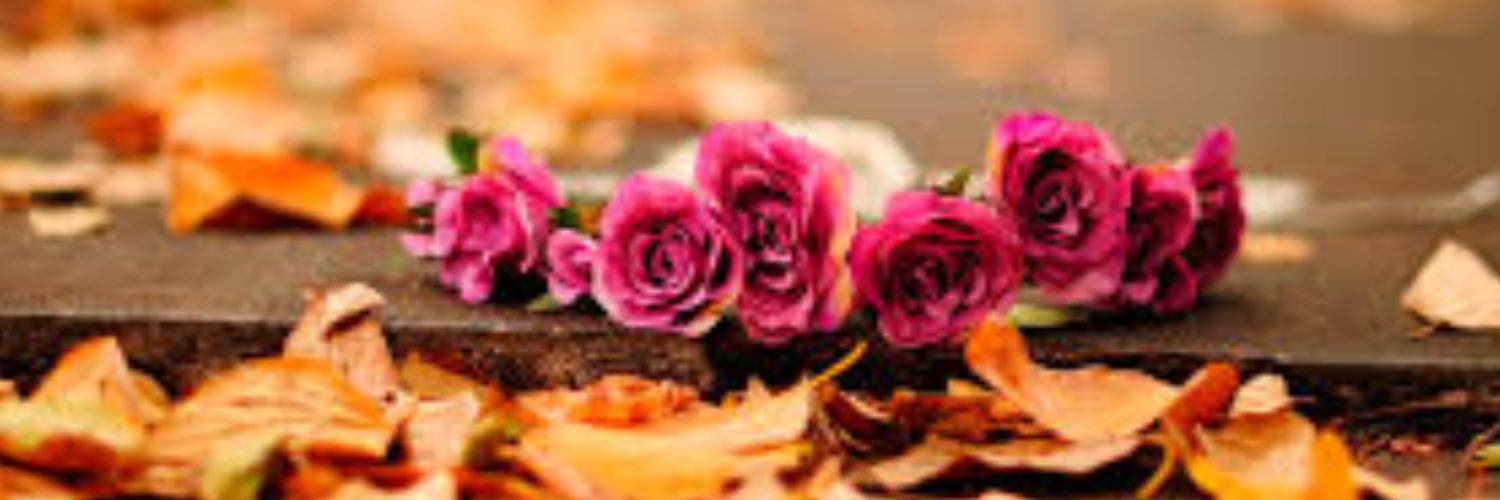 sheramp's profile banner image