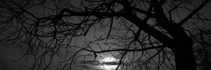 avinashsingh_27's profile banner image