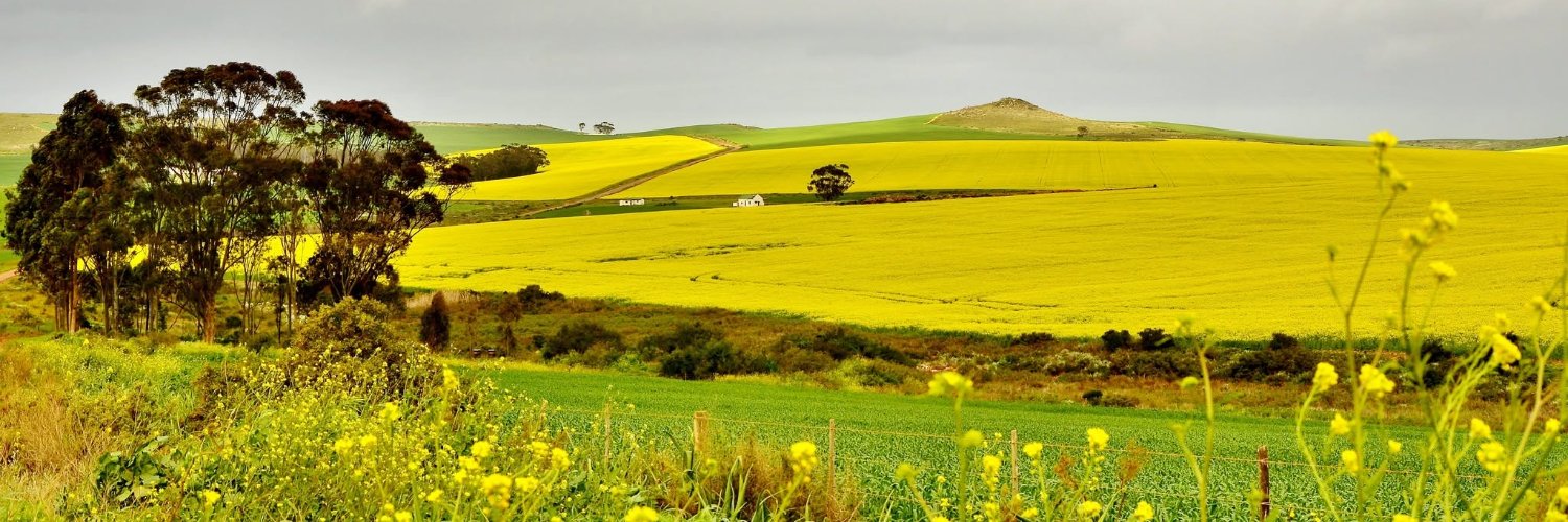 alanwinde's profile banner image