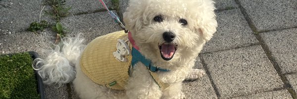 MYB0R1 Profile Banner