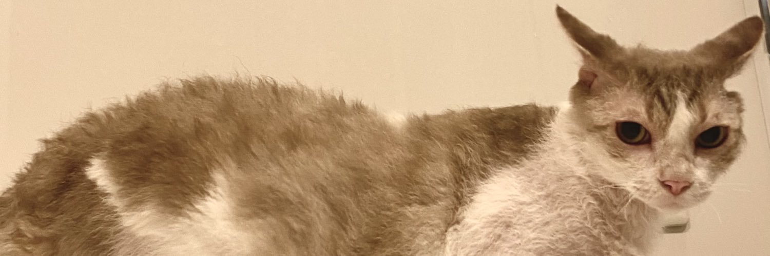 Maeda_Risa's profile banner image