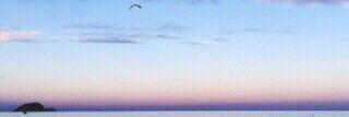 Mh36na's profile banner image