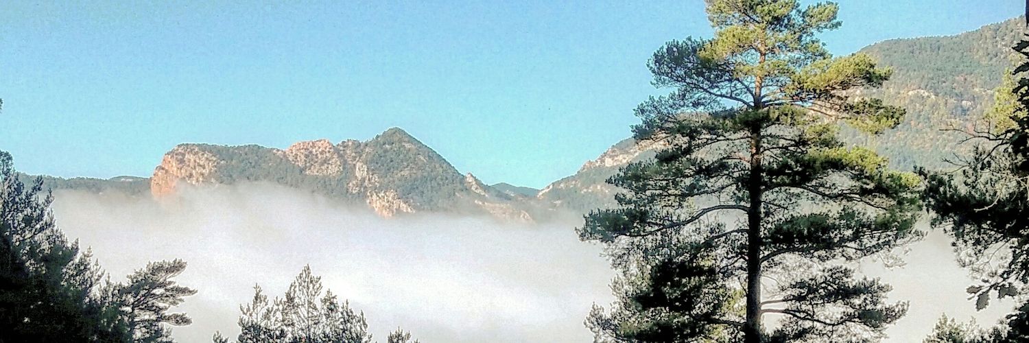 planrenove's profile banner image