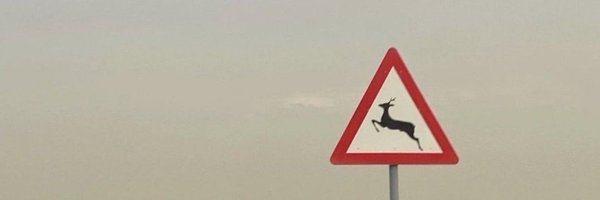 17l___ Profile Banner