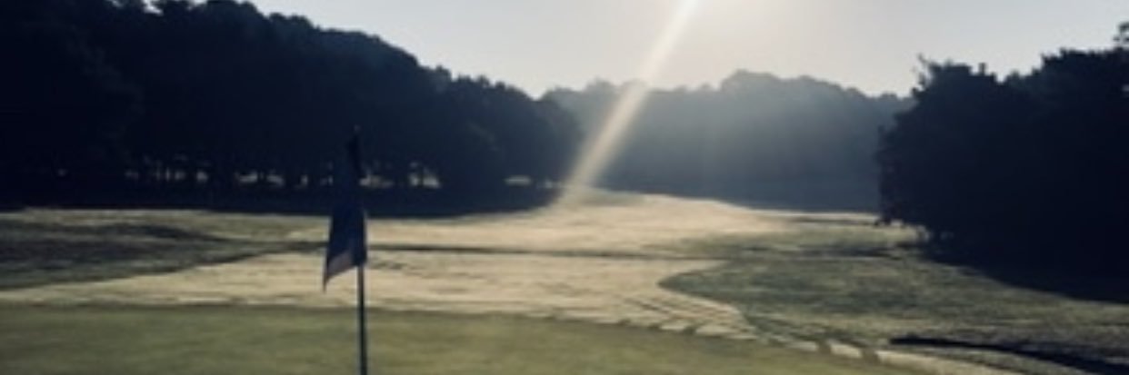 Alex Nelson Golf banner