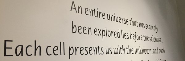 tadasu443 Profile Banner