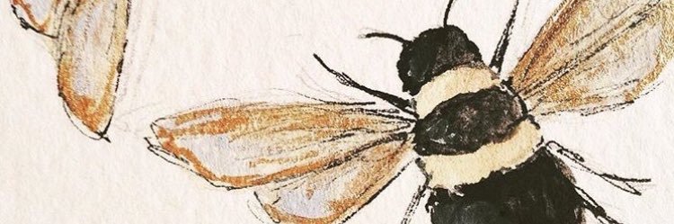 aprylleto's profile banner image