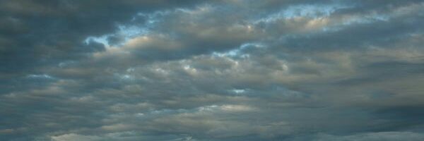 Effective Leadership banner