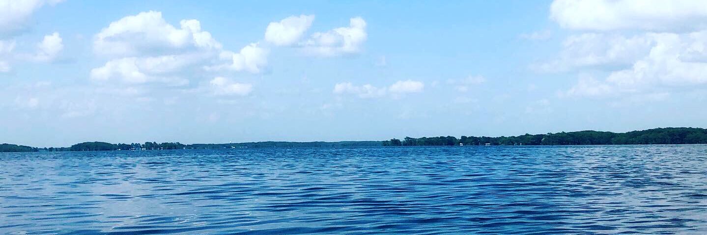 Shelbee Riché banner