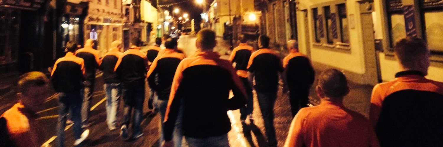 Carrick Hurling Club banner