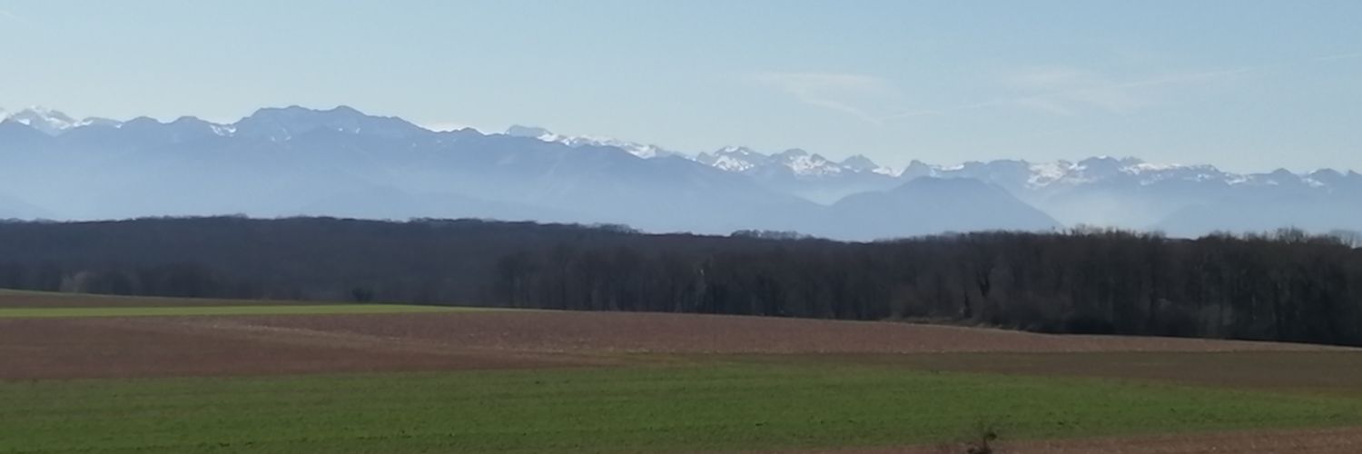 CALONGE Cédric banner