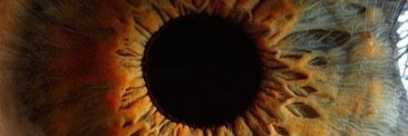 wcadao1975's profile banner image
