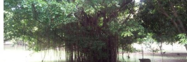 Armeldux Profile Banner