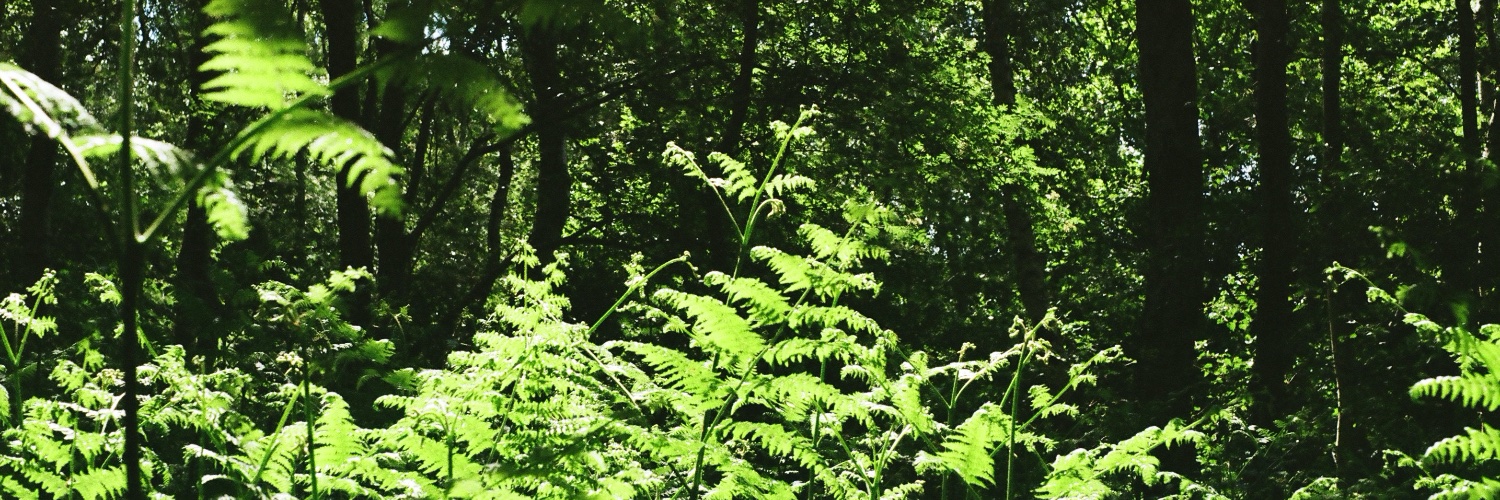 georgie_hook_'s profile banner image