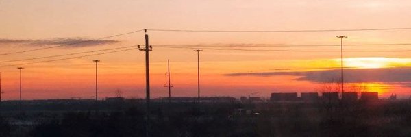 hedgehogarrow Profile Banner