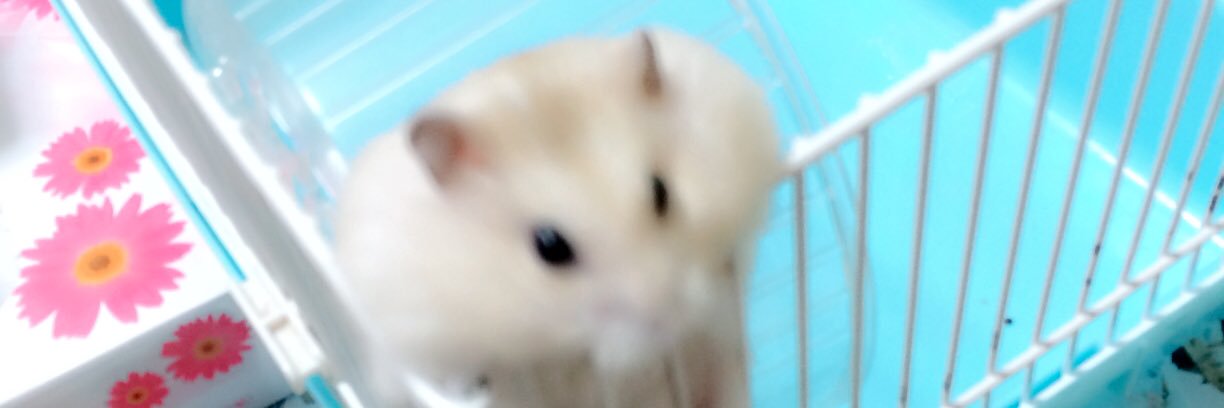 2828non's profile banner image