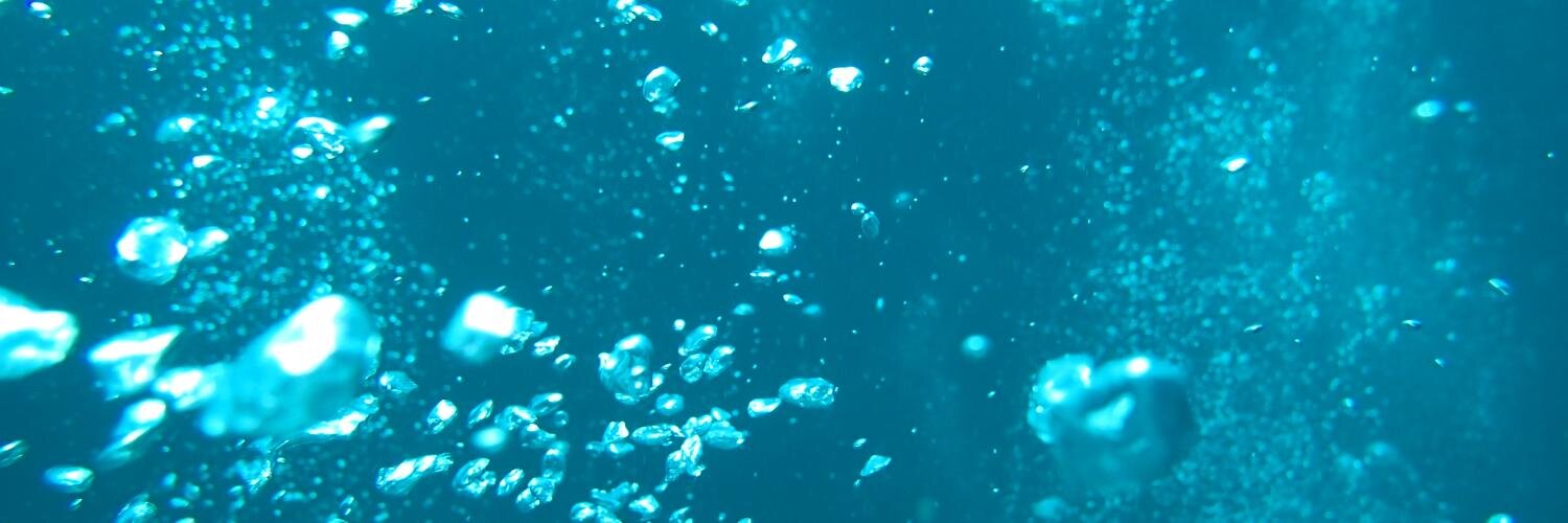 _seashow's profile banner image