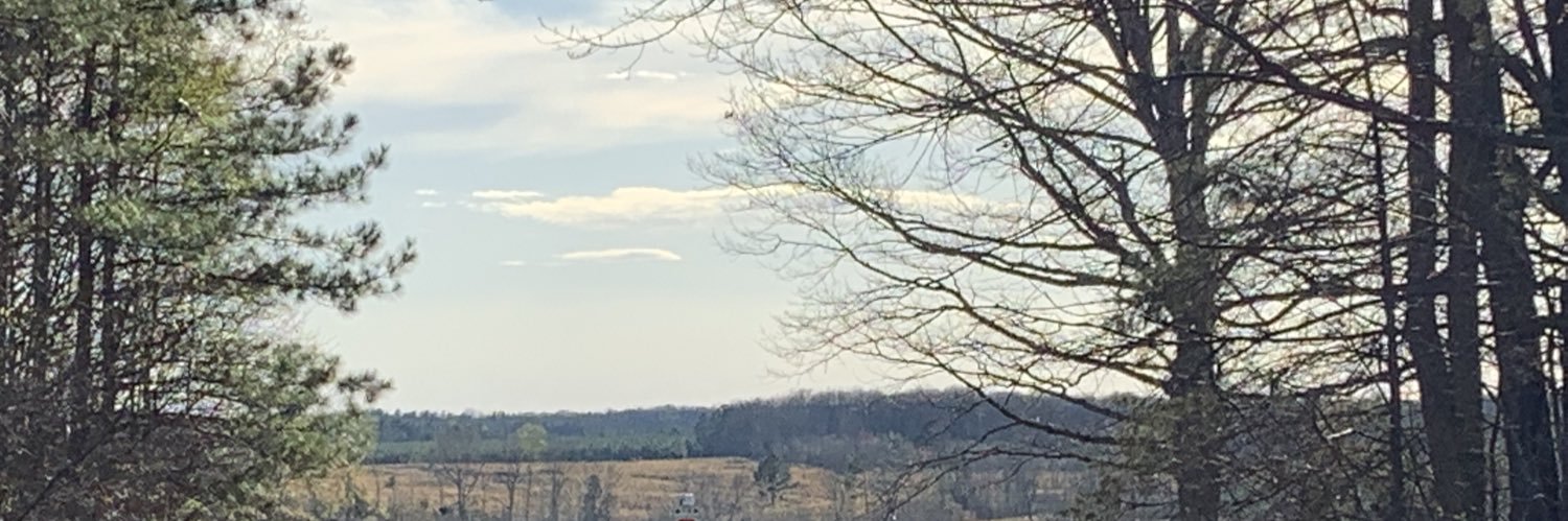 momma_mandee's profile banner image