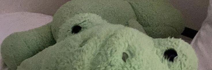 L banner