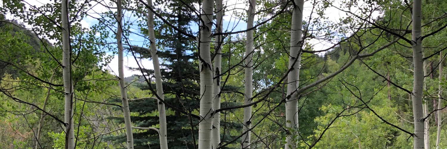 Scott banner