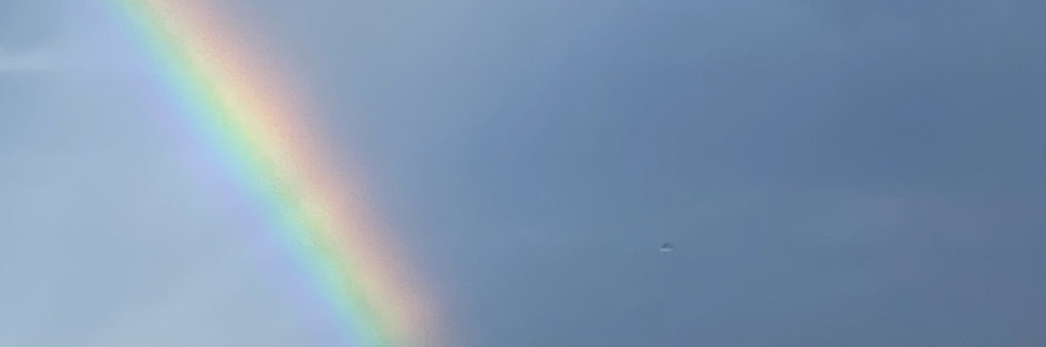 sinikka_brusman's profile banner image