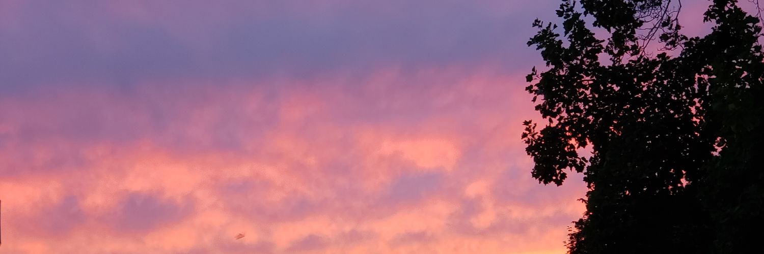 BaxxQueen's profile banner image