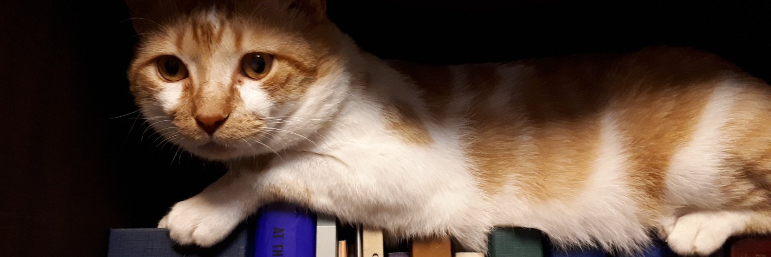 def_username__'s profile banner image