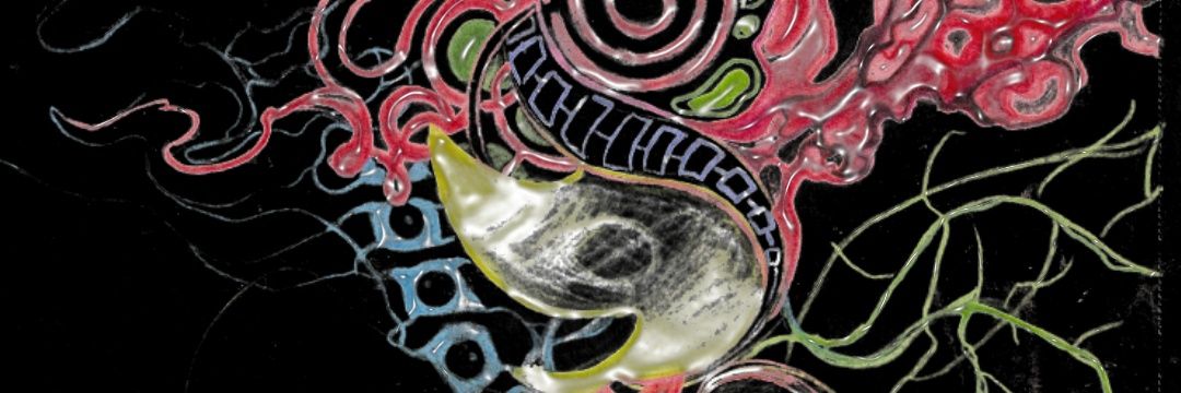 satineart13's profile banner image