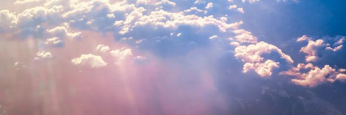 dolphin_nylle's profile banner image