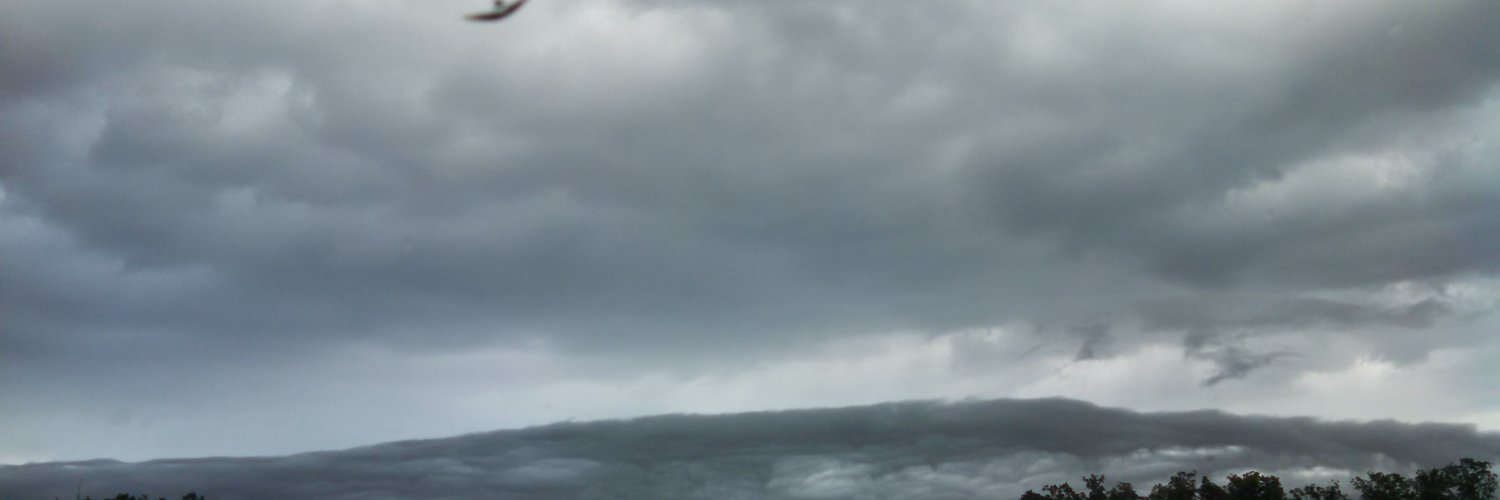 D_MAU3576's profile banner image