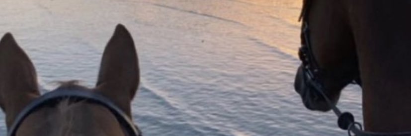 ixitx_'s profile banner image
