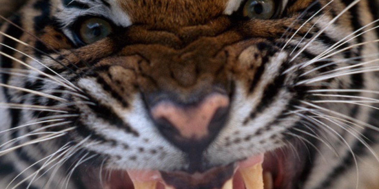 sanchezns's profile banner image