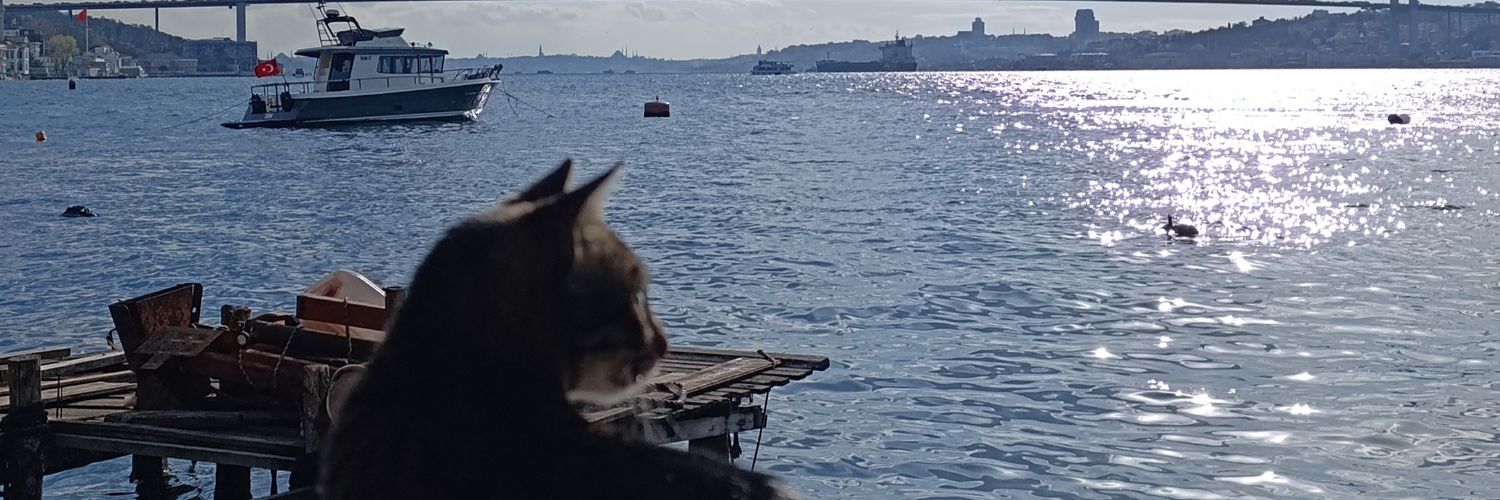 pd_mevlu's profile banner image
