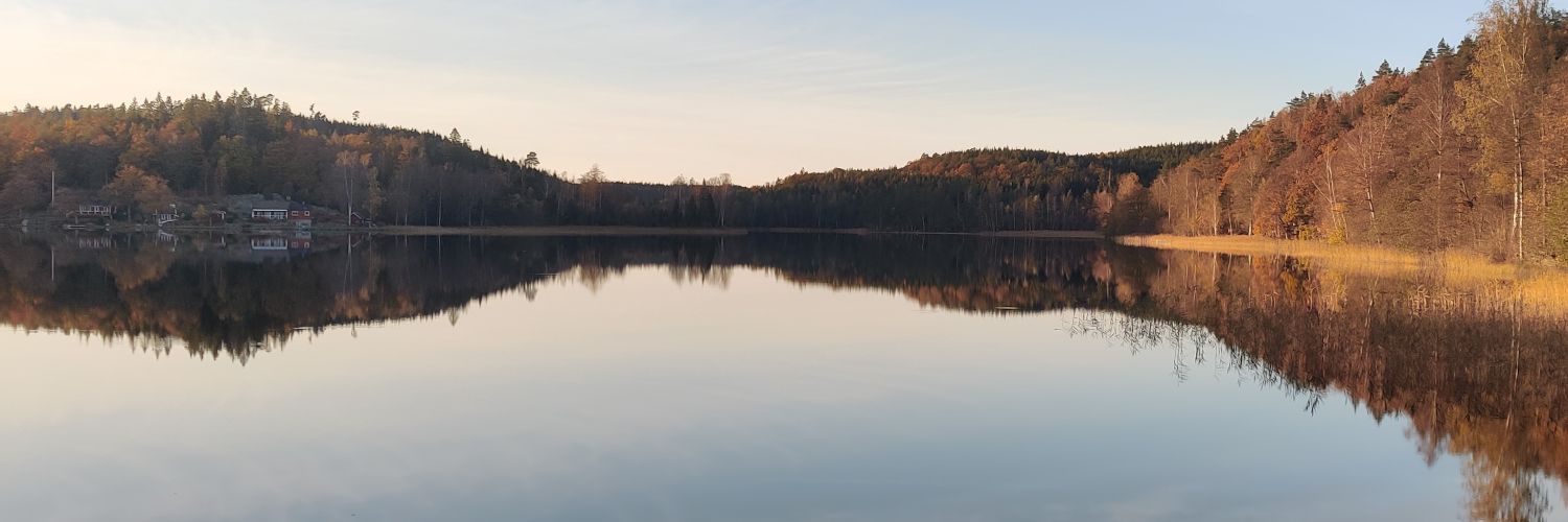 grooverooms's profile banner image