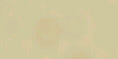 af1111af's profile banner image