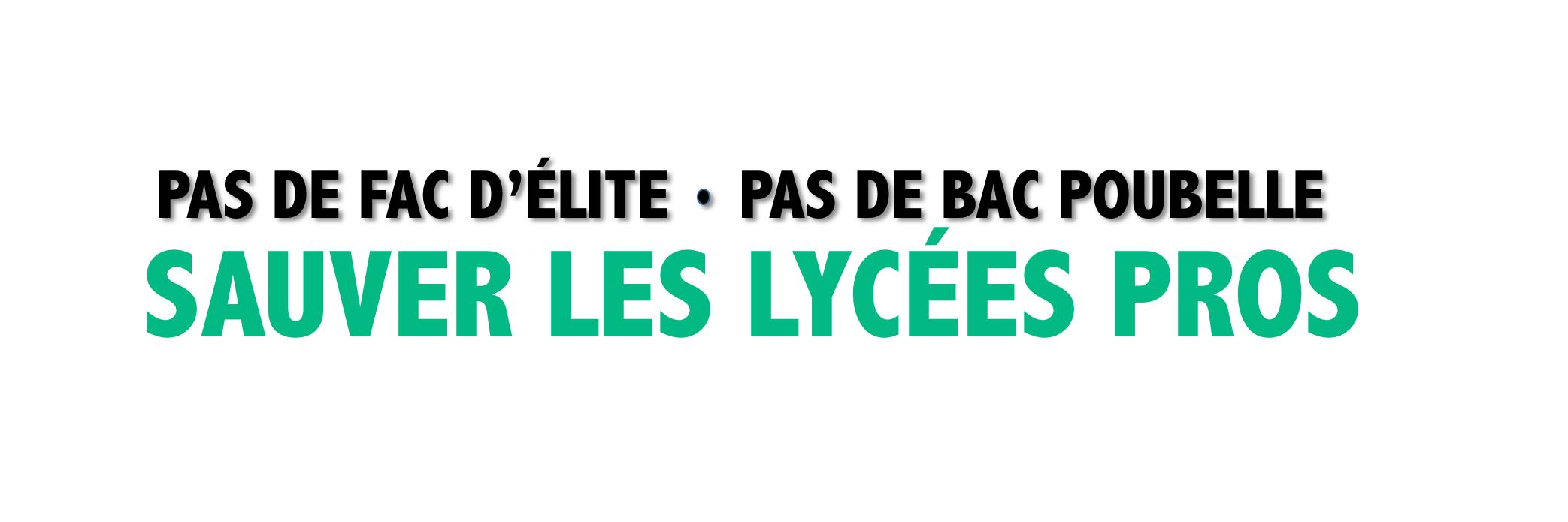 Lycées pro en danger banner