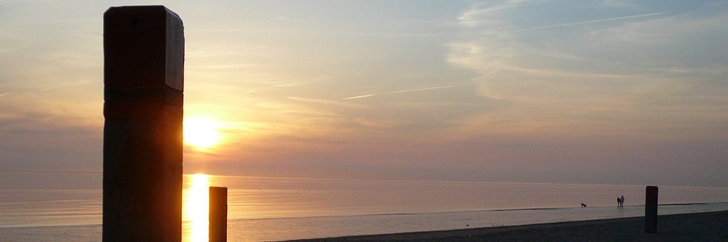 IngervanNes's profile banner image