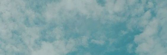 hrryssunflwer's profile banner image