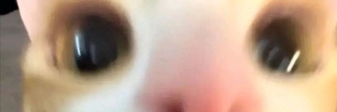 ✨ banner