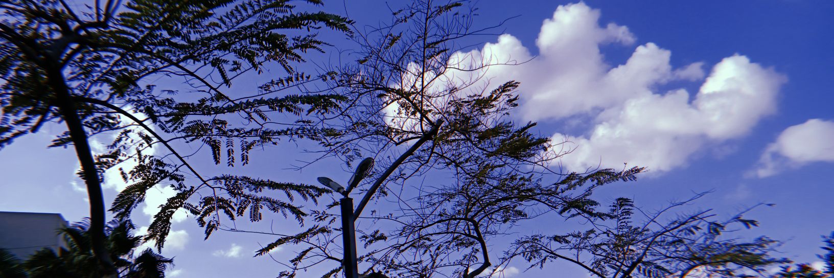_Mostafa1212's profile banner image