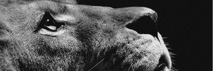 MichaelDClay's profile banner image