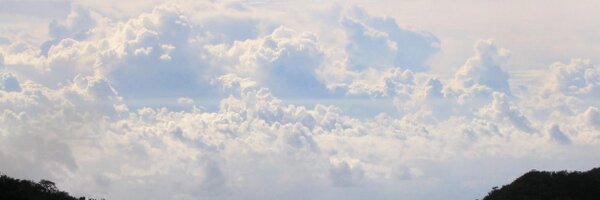 Excerpts_from Profile Banner