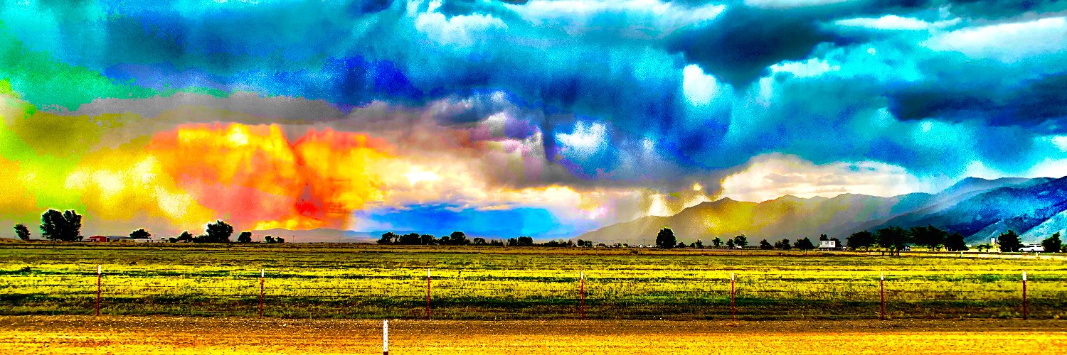 gnars🟨 banner