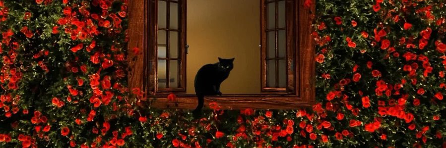PIMSRA's profile banner image